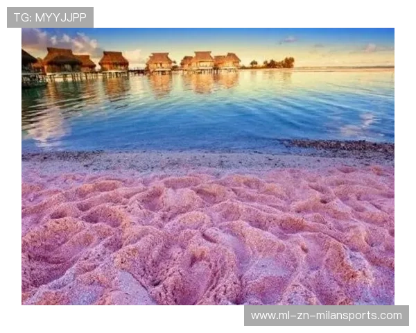 巴哈马特色沙滩运动品牌逐渐成型，巴哈马的景点